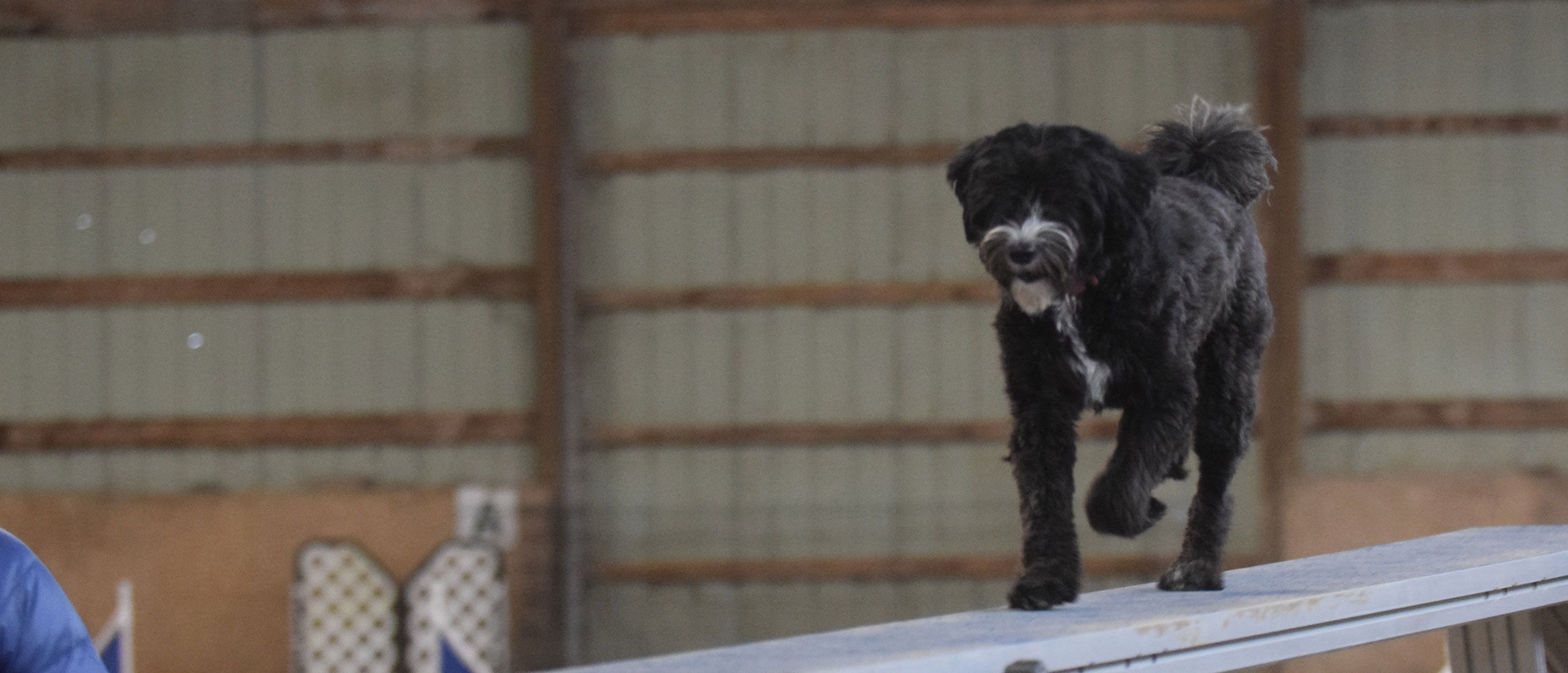 Intro Agility Level 3